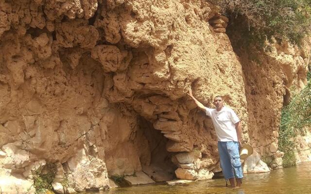 Oasis de Tiout
