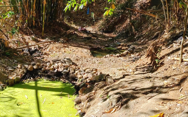 Singalong Nature Camphill Site