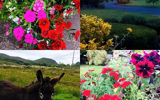 Hillcrest farmhouse Bed & Breakfast