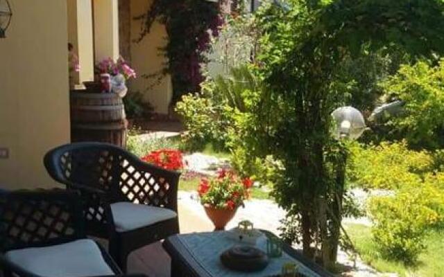 B&B Ottoulivi