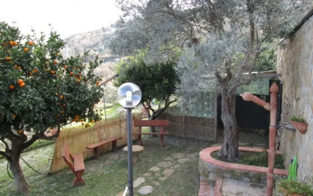 La collina del nibbio