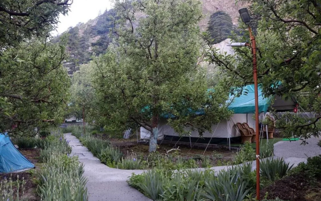 Apple Orchard Farm and Camping