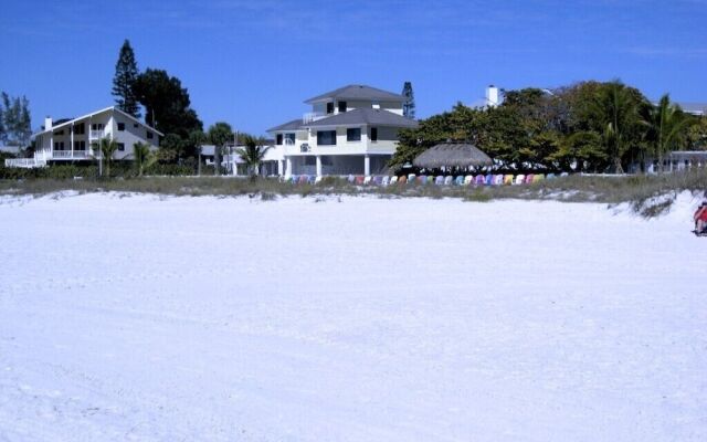 Anna Maria Island Beach Palms 5B