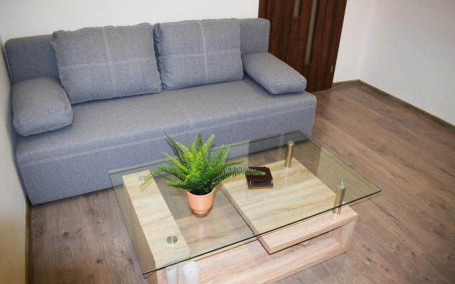 Center City Apartment