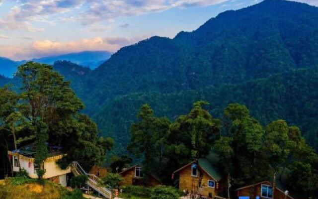 Yinxin'gu Treehouse Hotel
