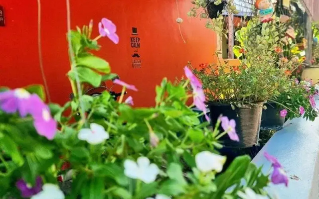 Chat House Chiang Rai