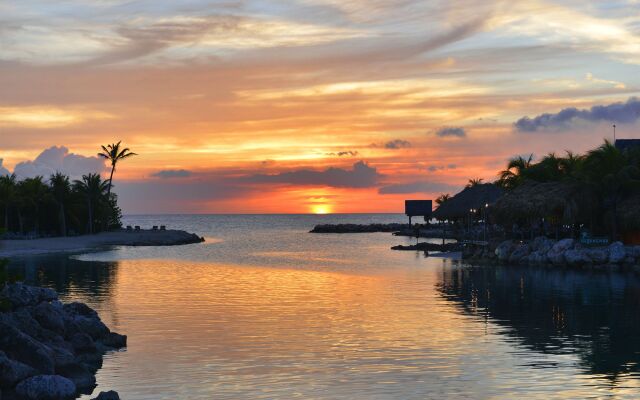 LionsDive Beach Resort