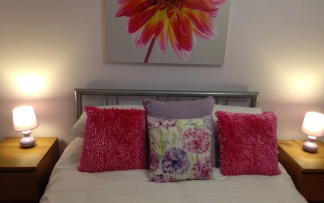 Stunning Spacious City 2 bedroom  Apartment