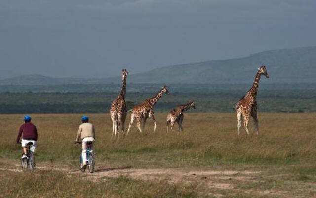 Kicheche Laikipia Camp