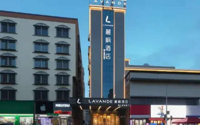 Lavande Hotels(Longhui County Government,Daqiao Road)