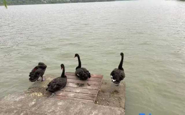 Shanjian Ge Farmstay (Nanbei Lake)