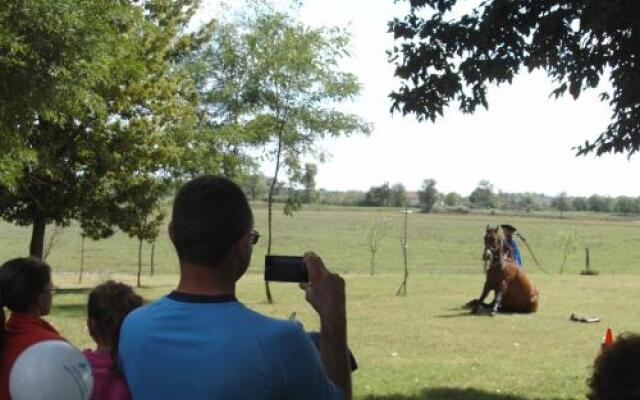 Gedeon Tanya-Panzió