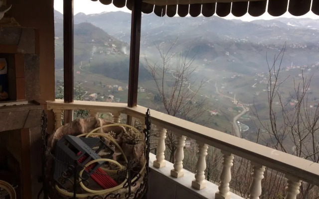 Karabina Villa Apart