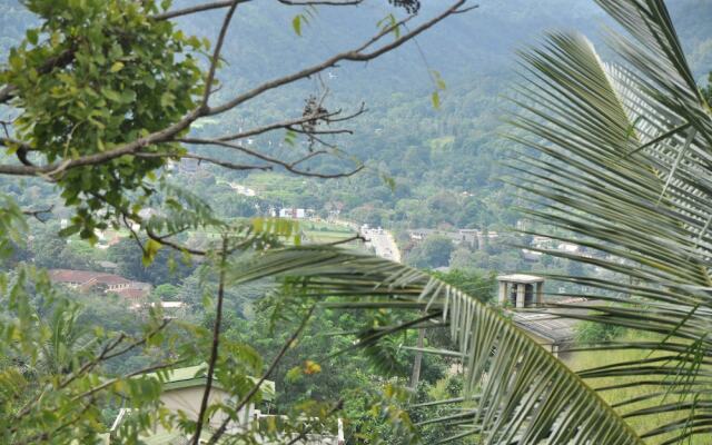Springhill Homestay