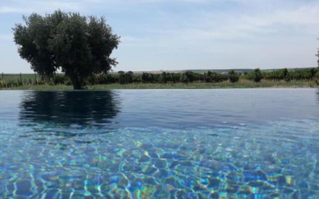Terras - Agroturismo & Vinhos