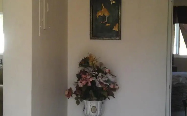 Chester View Apartment