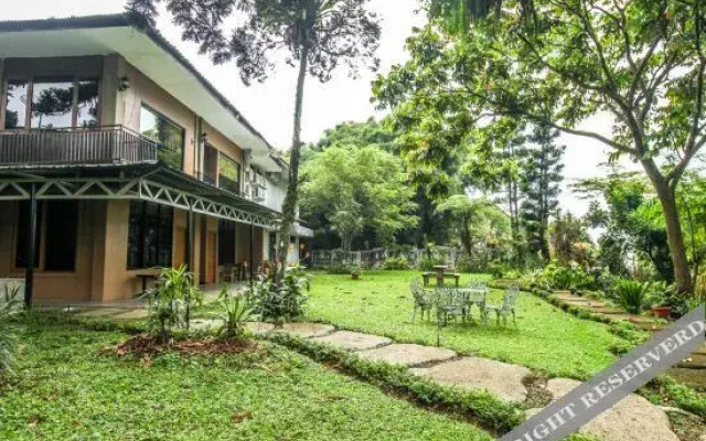 Minijack Hotel