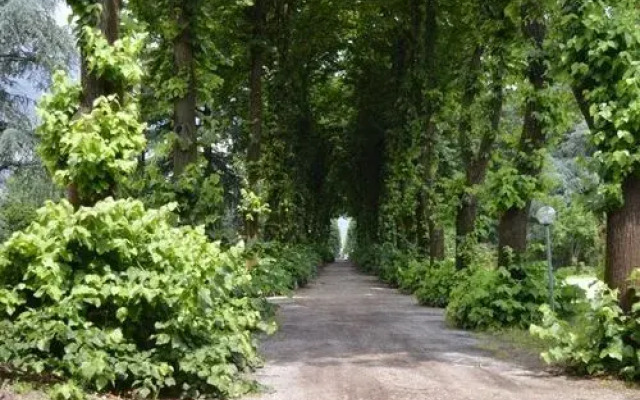 Residence Podere San Marco