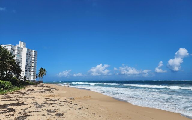 Stunning 3-Br Apt in Condado