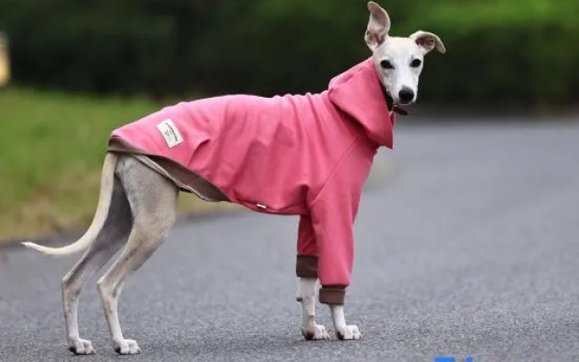 Narada Resort & Spa Phoenix Valley