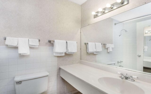 Napoleon Inn & Suits