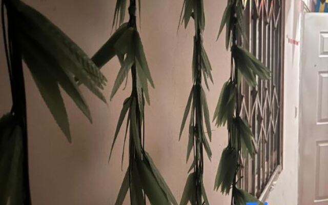 Shenyang encounters love tribes B&B