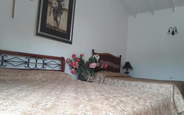 Palmita Hotel Hostel