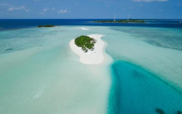 Quicksand Rasdhoo