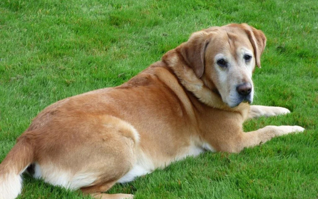 B&B Le Jardin dEpicure