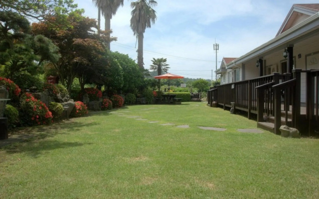 Jeju Palm Hills Pension