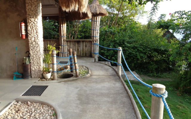 Sea Turtle House