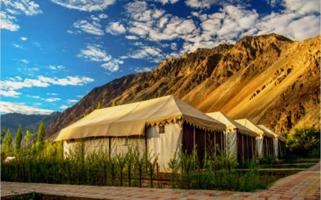 Nubra Escapes Camp
