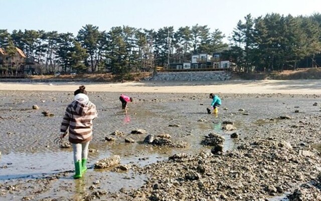 Taean Thedameun Pension