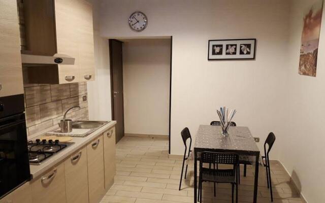 Museo Home