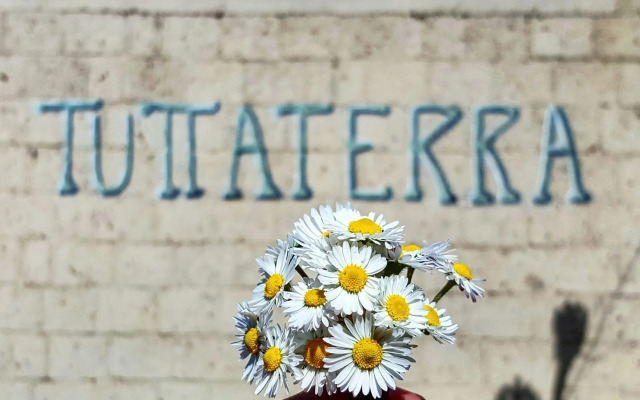Tuttaterra