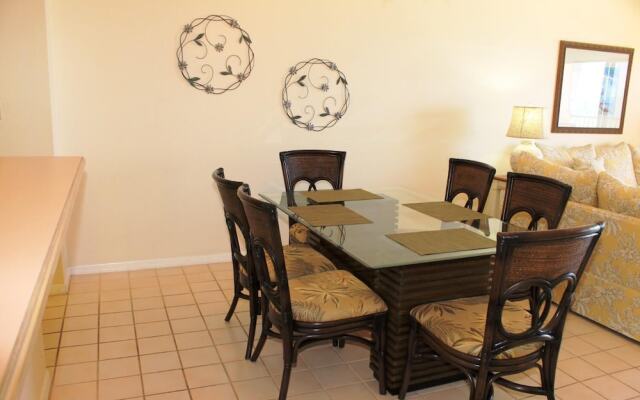 Beach Palms 505