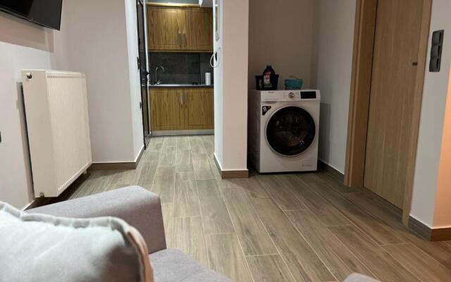 Deluxe furnished apartment (In the city center)