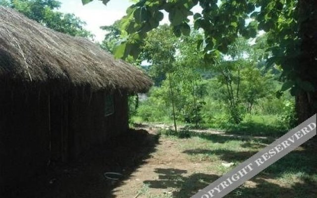 Udzungwa Forest Camp