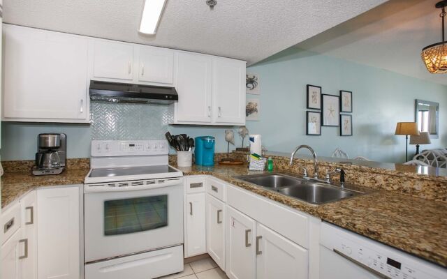 Tropical Winds by ALBVR