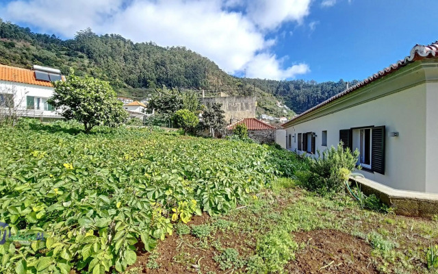 Yohanna's accommodation