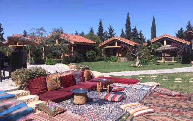 Ecolodge Dar Zitouna