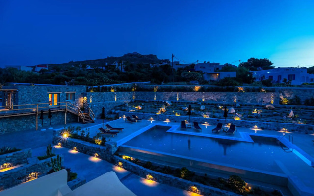 Mykonos Cactus