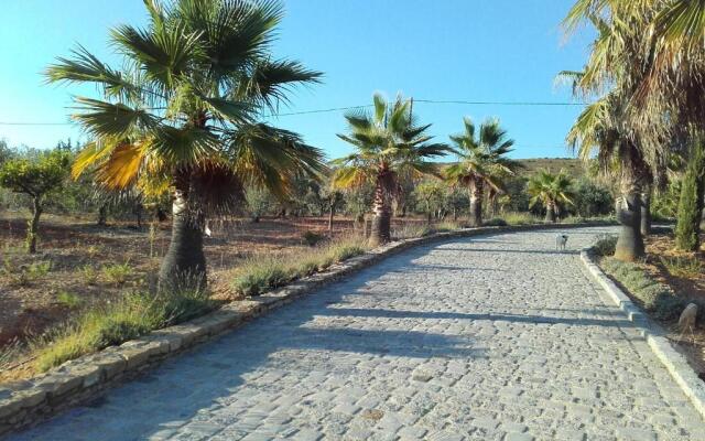 La Bastide de l'Oliveraie