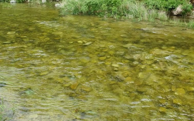 Pocheon (Idongmyeon) Baegun