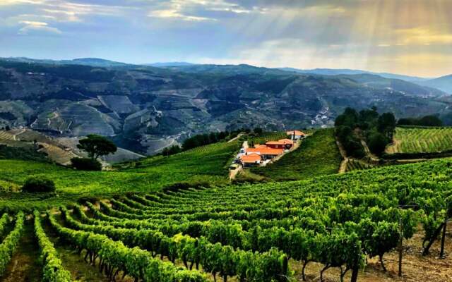 Quinta Dos Espinheiros