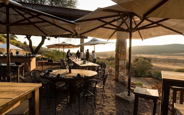 Viñedos Puerta del Lobo