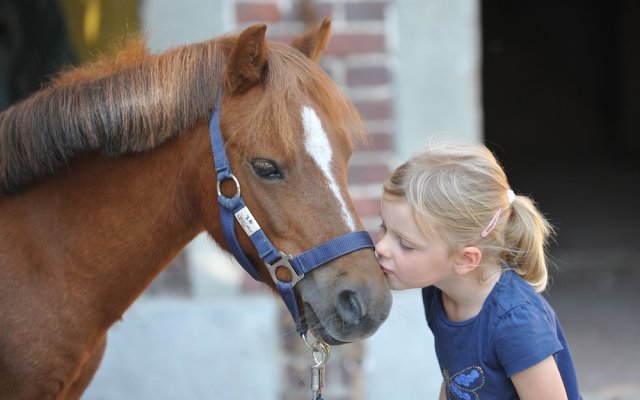 Ponyhof Georgenbruch