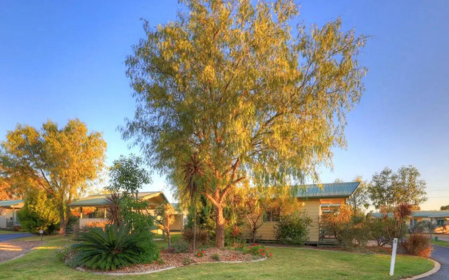 Pepper Tree Cabins