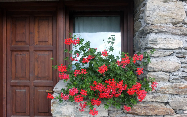 Agriturismo Al Castagneto