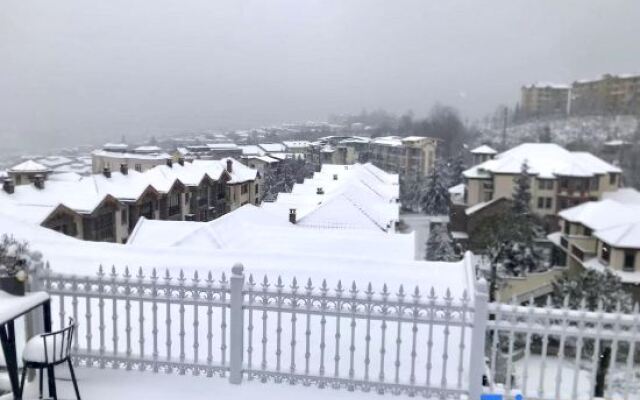 Mid-mountain Constellation (Fairy Mountain Store)